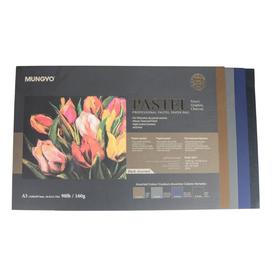 Papier pour pastel assortiment foncé (tablette)