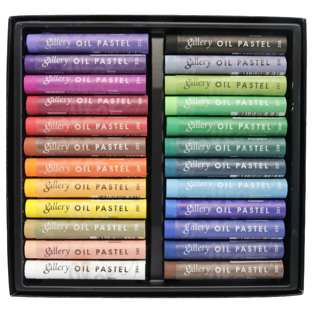 Professional Soft Oil Pastel 24