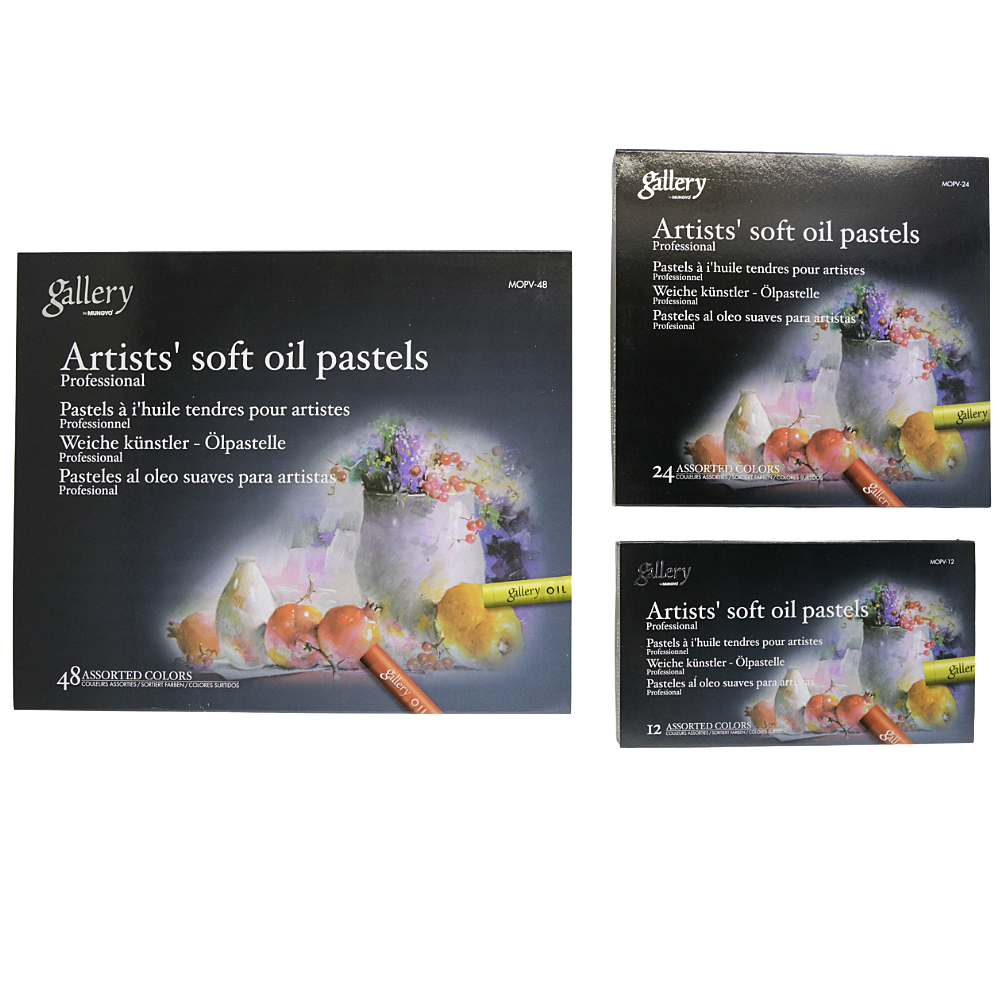 Professional Soft Oil Pastel (24)